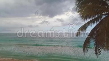 美丽的日出覆盖了热带海滩和奇异的棕榈树，蓬塔卡纳海